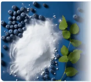 ProvaDent for Oral Health